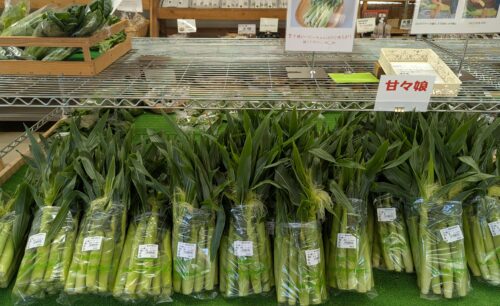 みたまの湯ご利用ガイド お食事処 季節メニュー